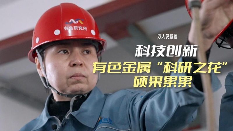 OA协同办公系统：揭秘其优缺点与合理报价